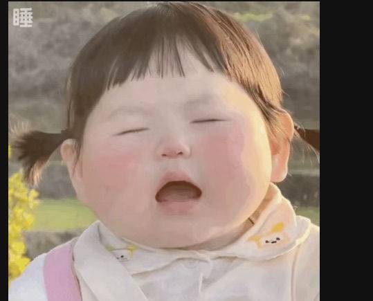 糯米饭
