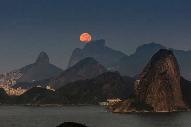 徐焖鸡米饭