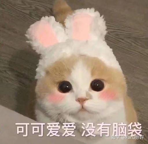 追逐飘逸