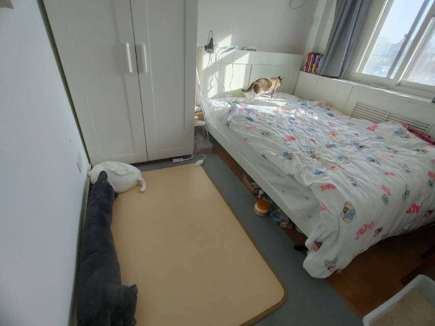 Beijing-Chaoyang-Cozy Home,Clean&Comfy,LGBTQ Friendly