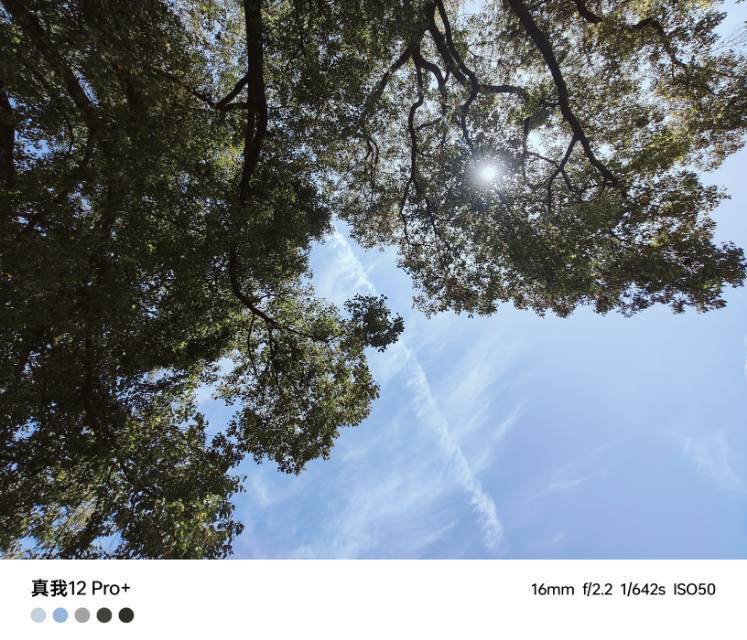 飘在南京的小王