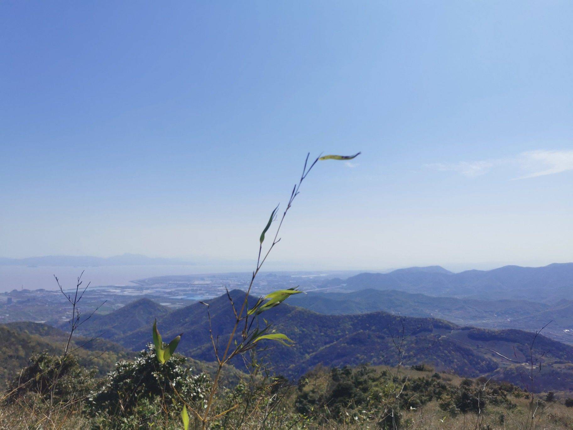 life_photo_3