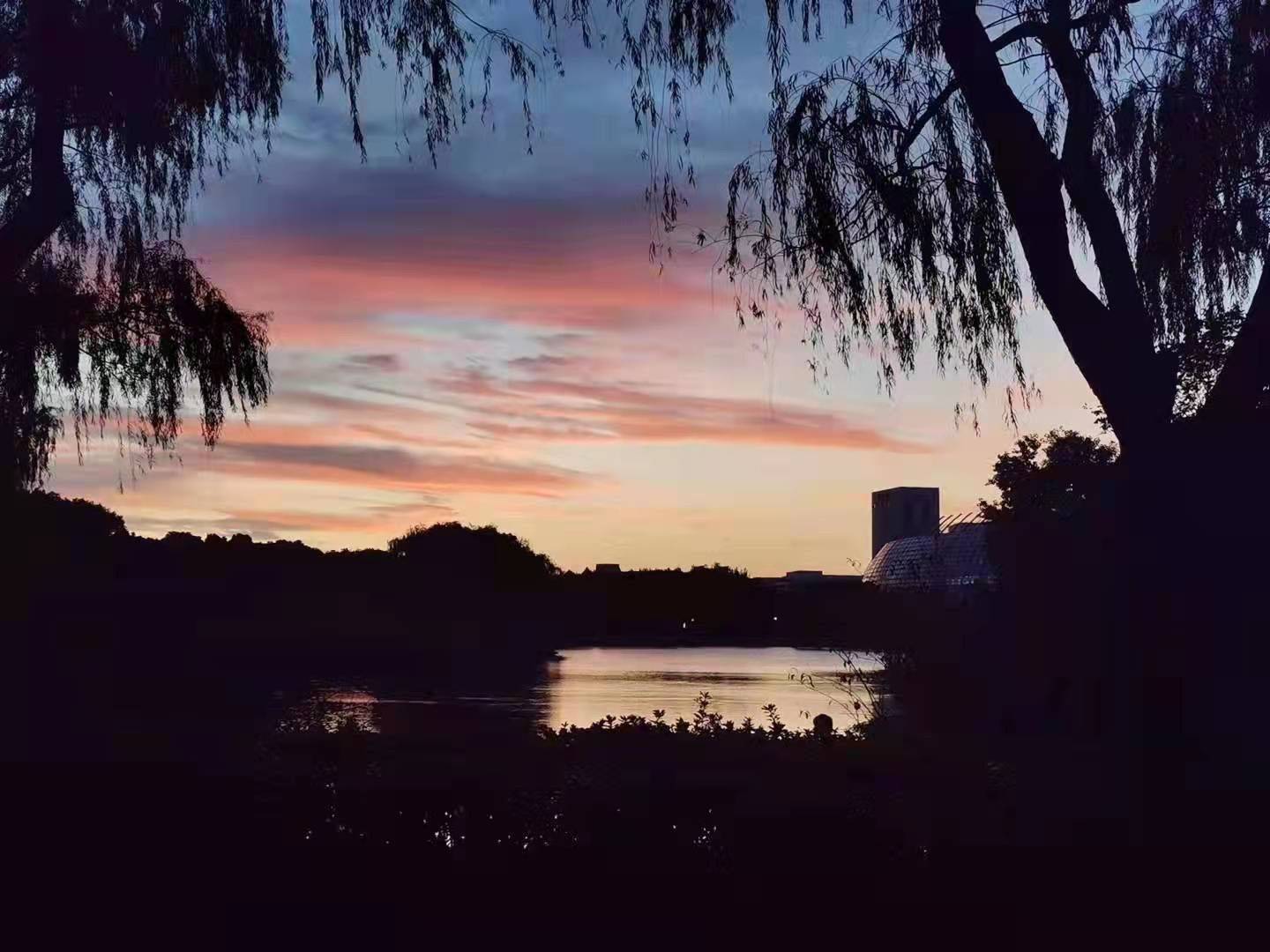 林