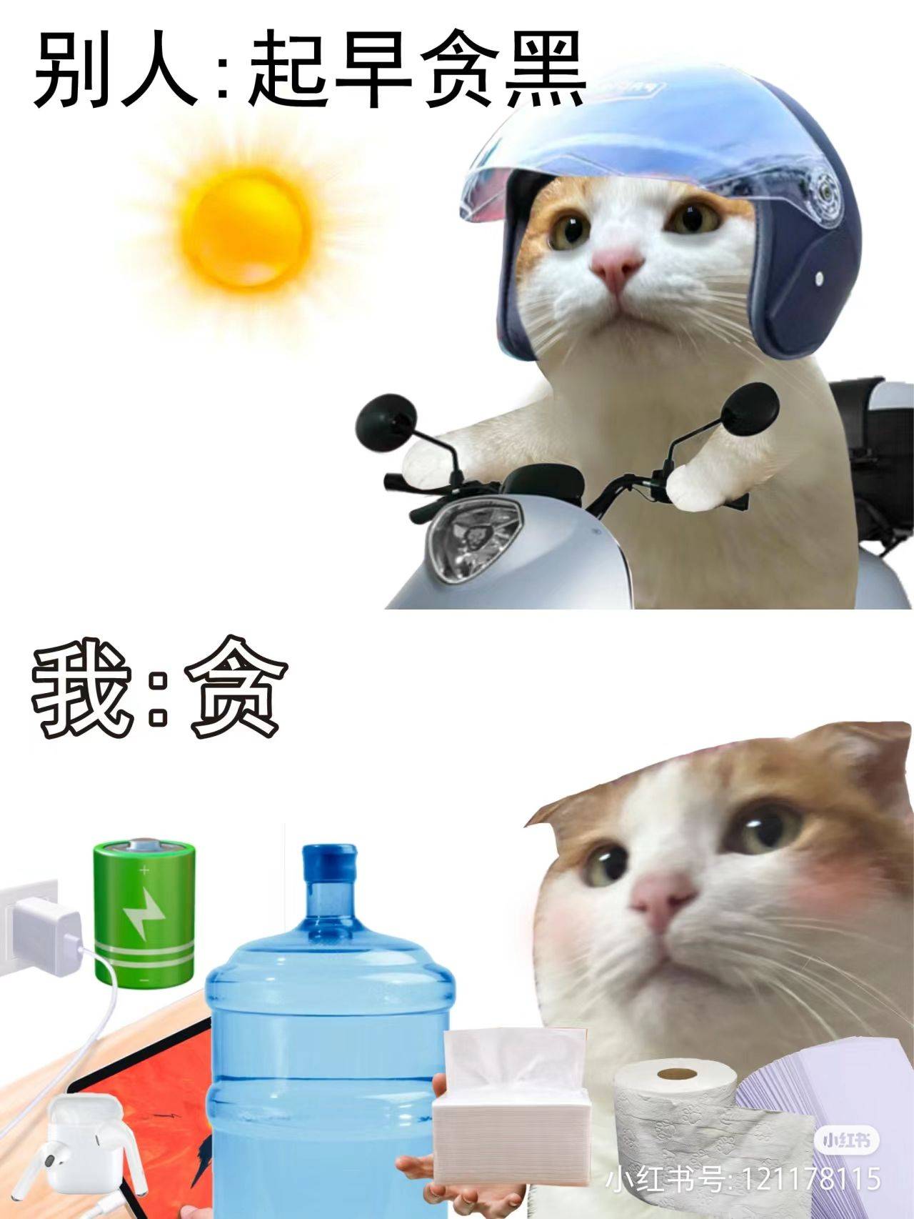 · Y ·