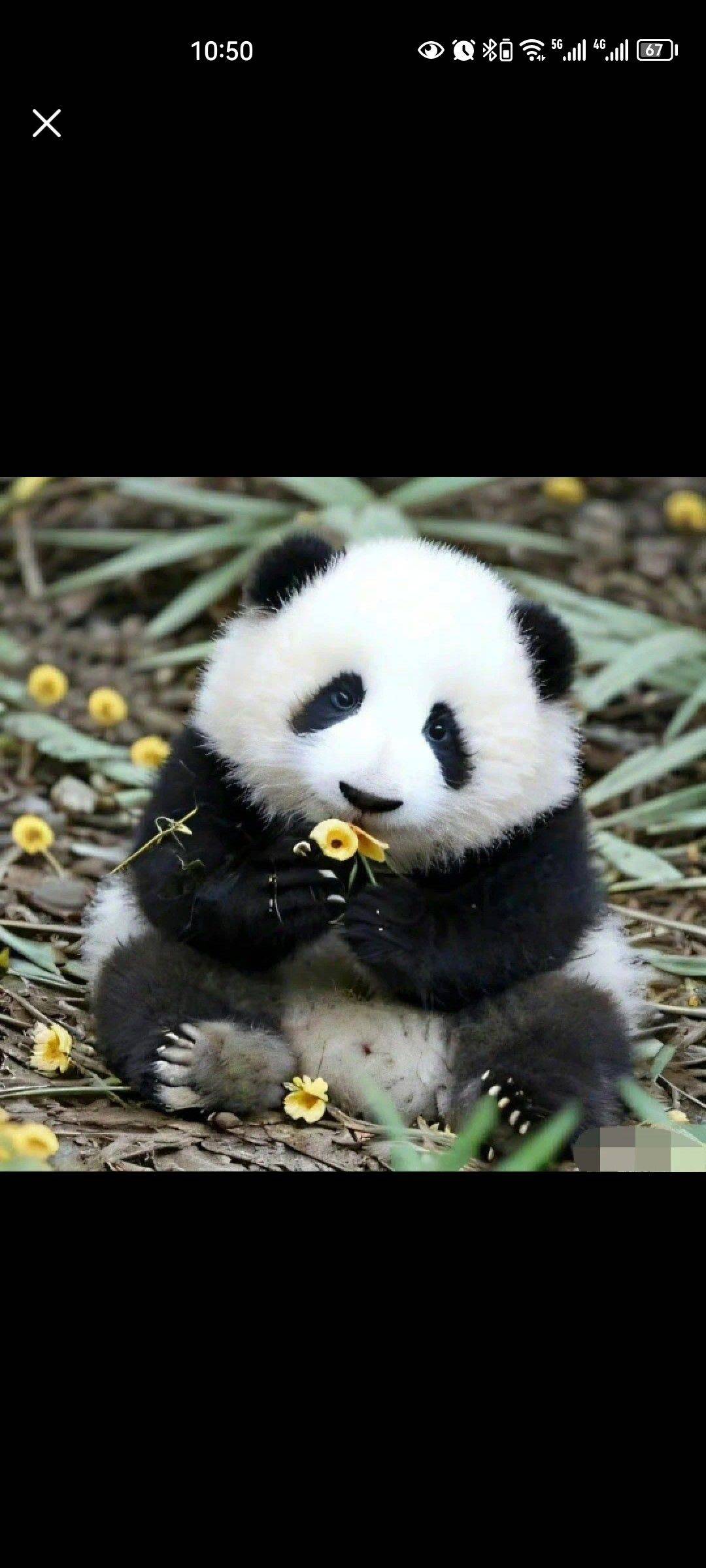端木
