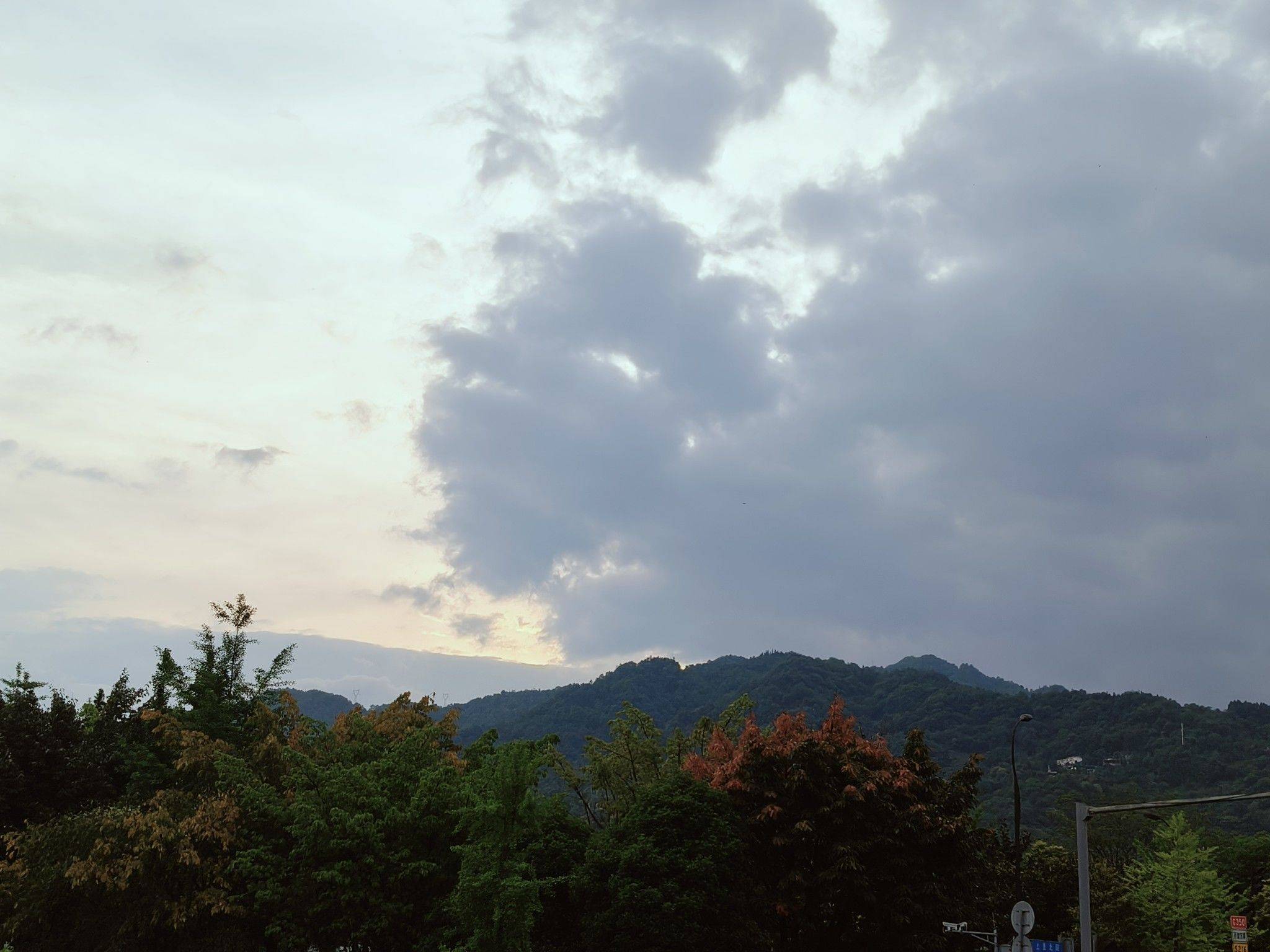 鹿鹿