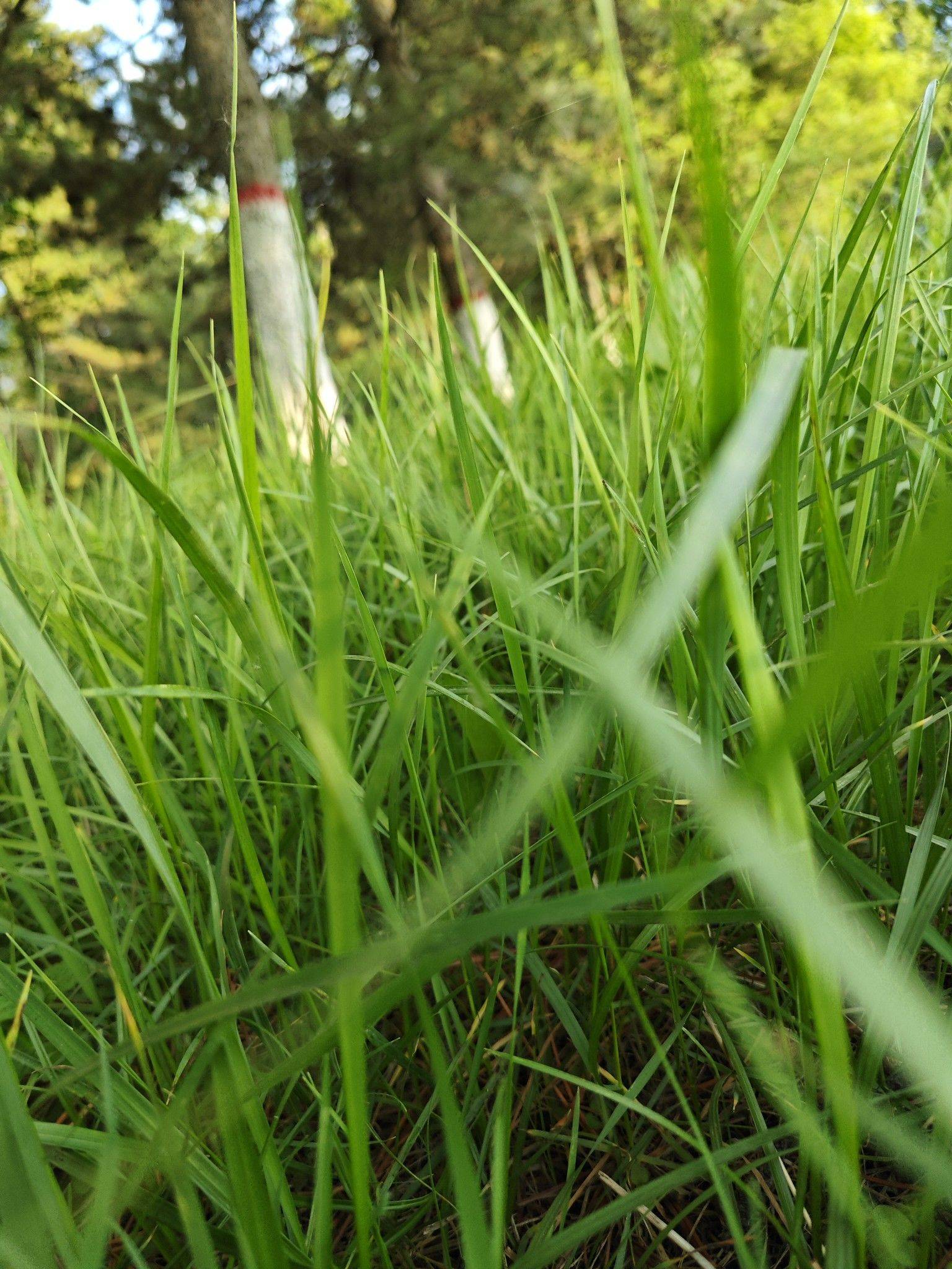 谢雨婷