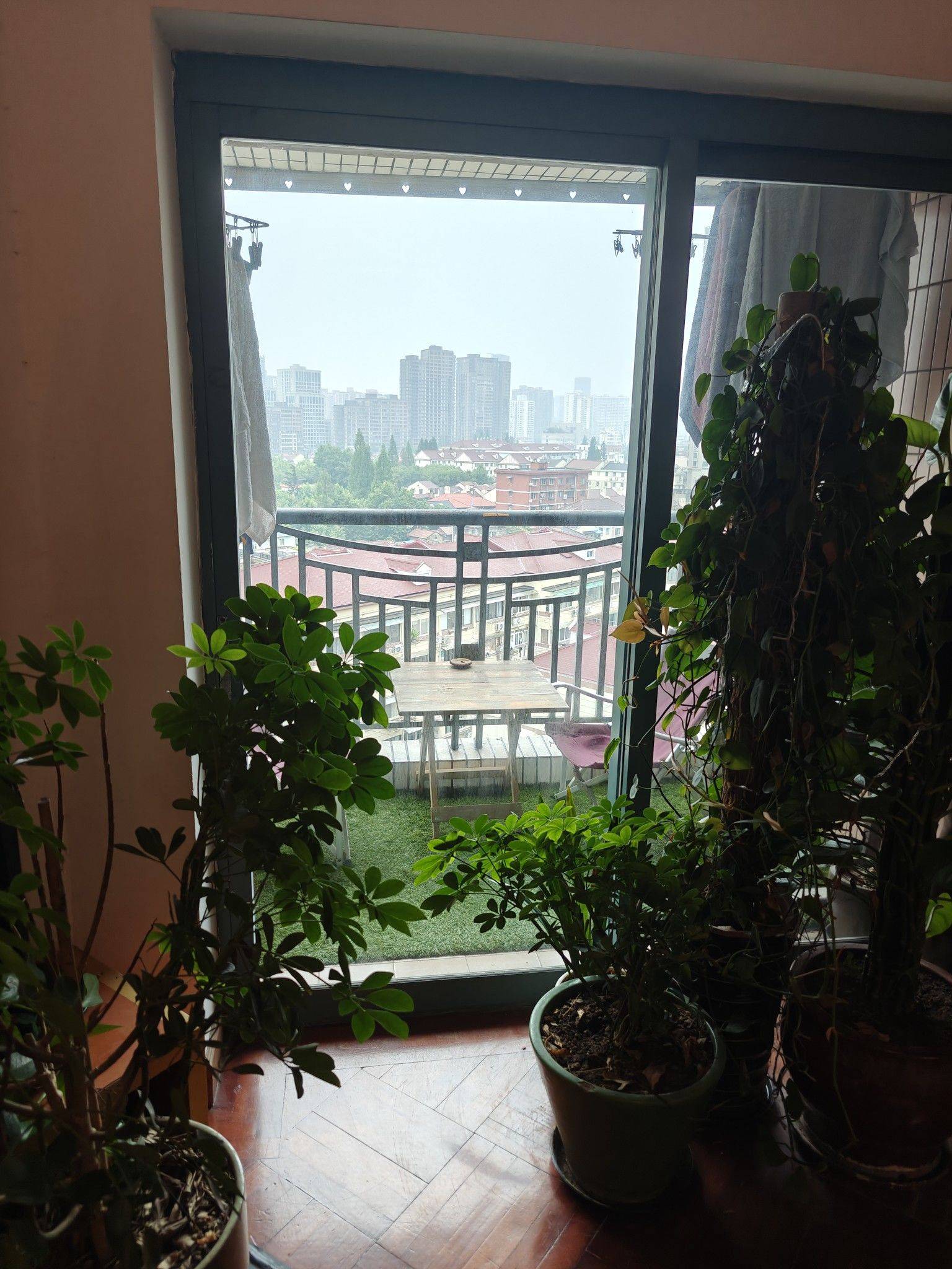上海-长宁-干净治愈,LGBTQ友好,宠物友好