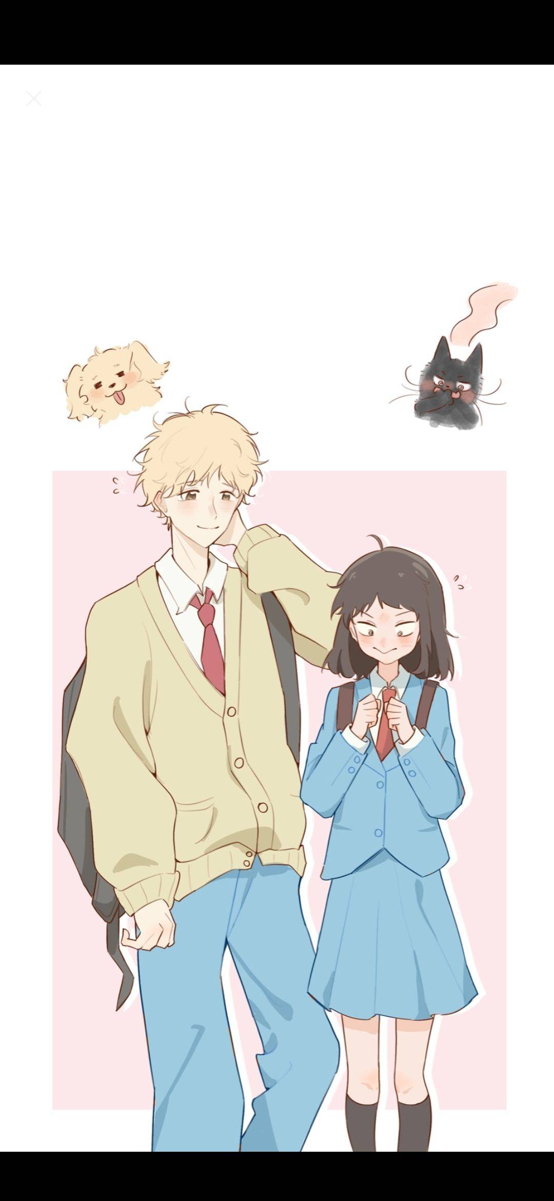 赵赵
