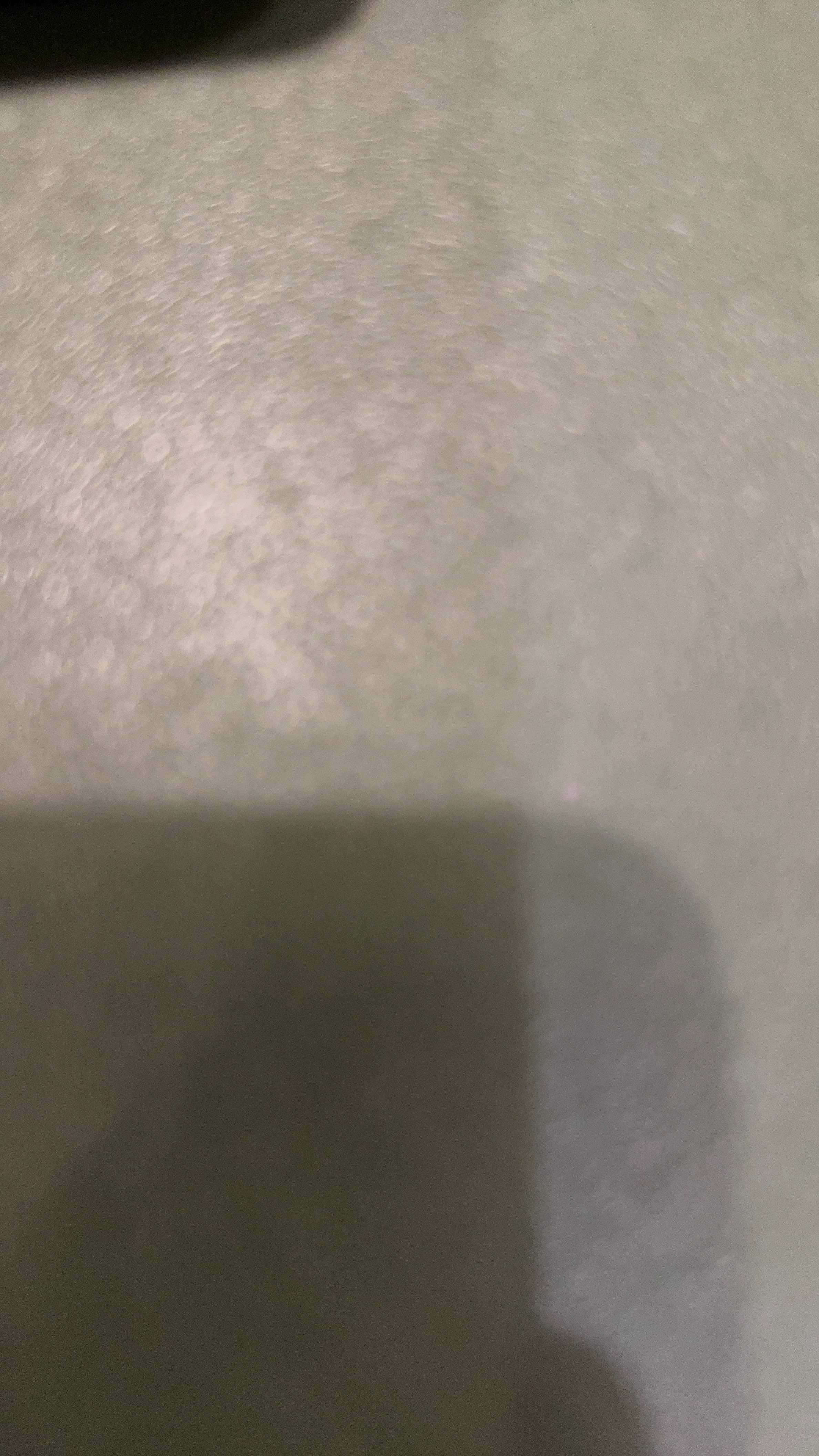 牛油果