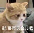 杨森