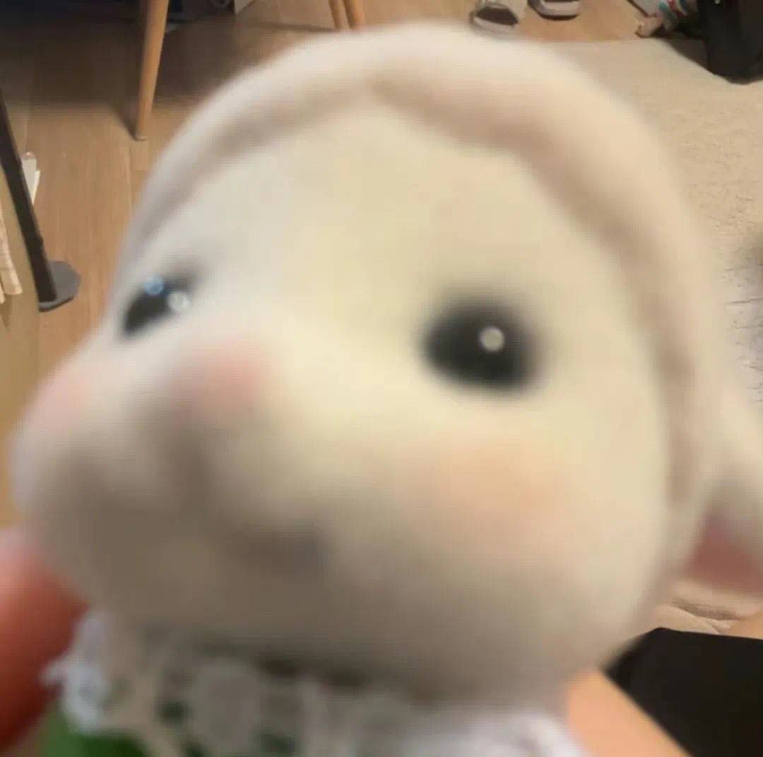 豆本豆