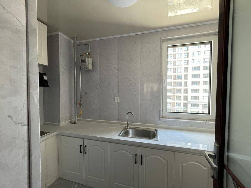 天津 滨海新 | 春风海上_4