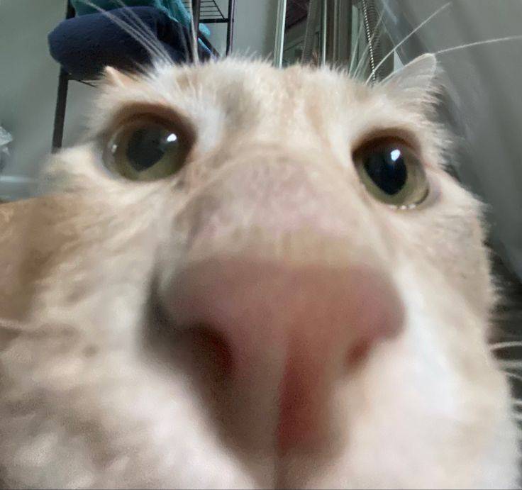 数一数