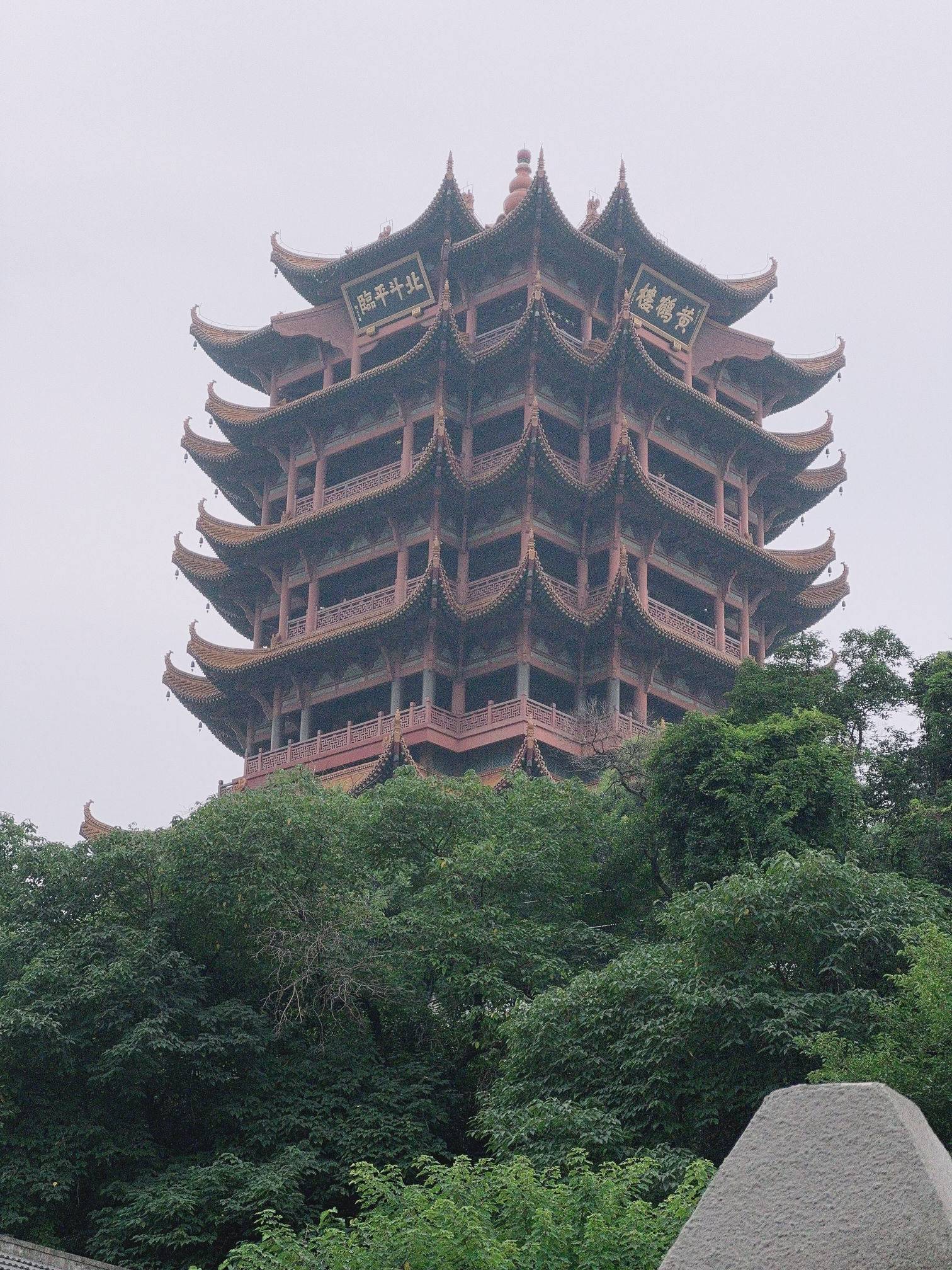 我是大地瓜