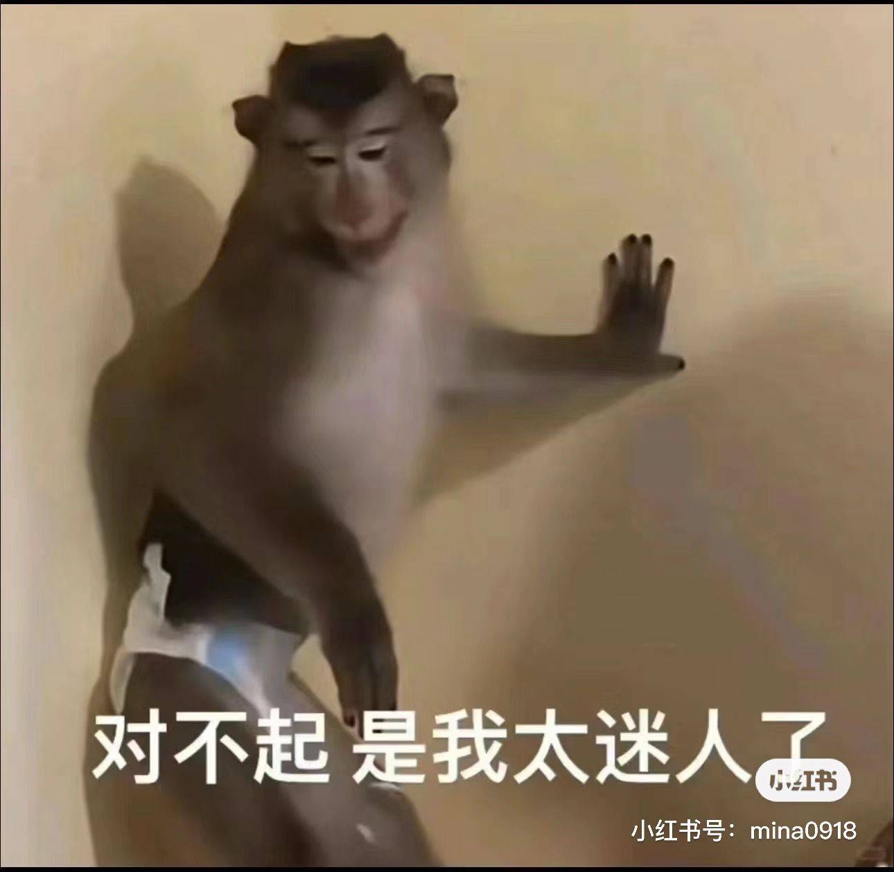 陌上