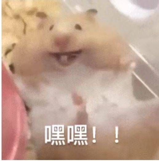 林琳