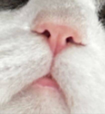 葭暎ヅ
