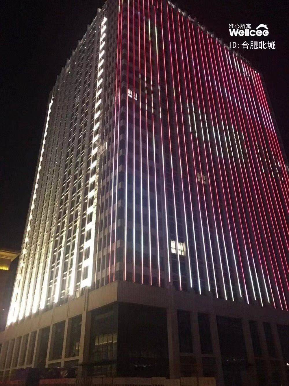 合肥 新站區 | 合肥恒大帝景领寓公寓_4
