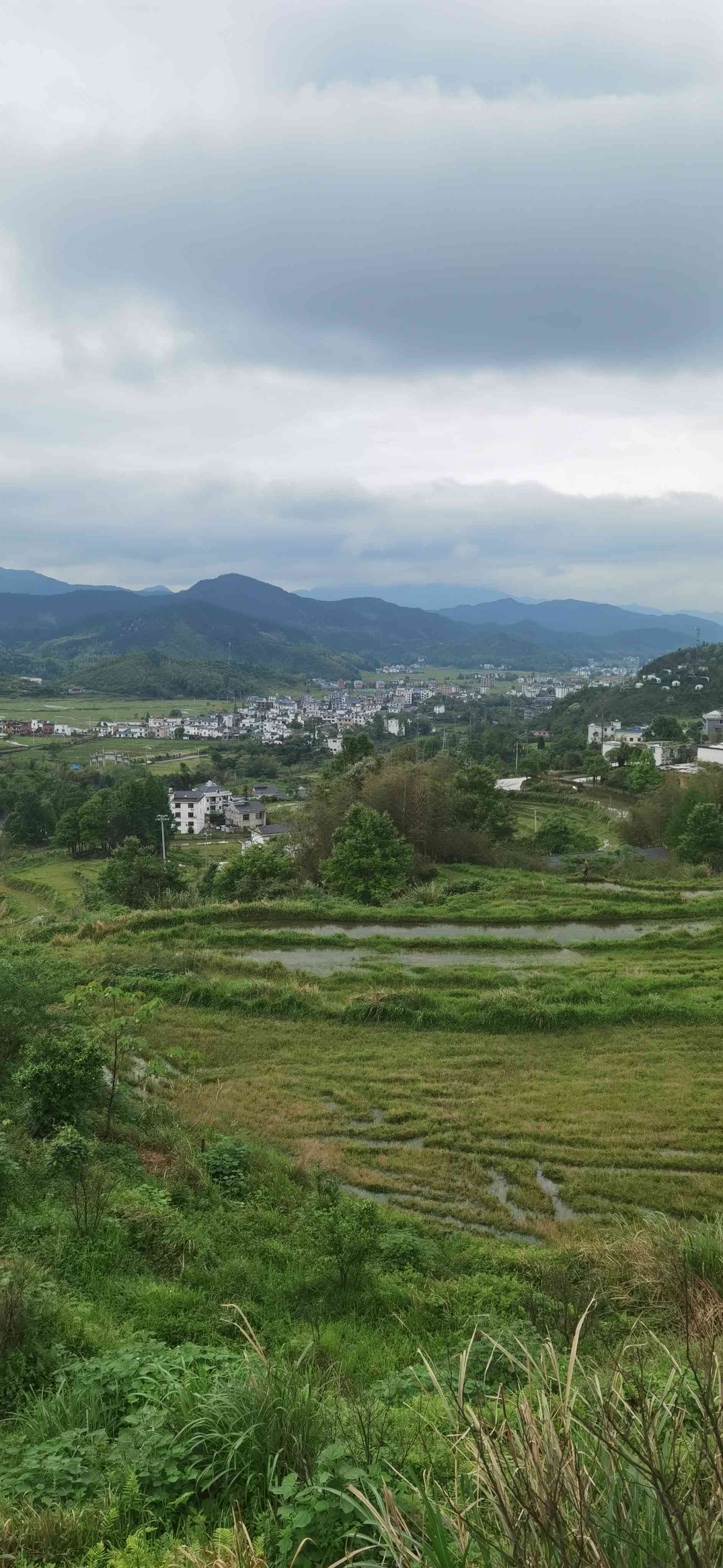 辛小林