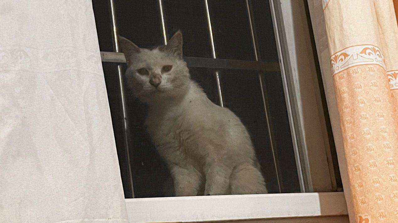 離