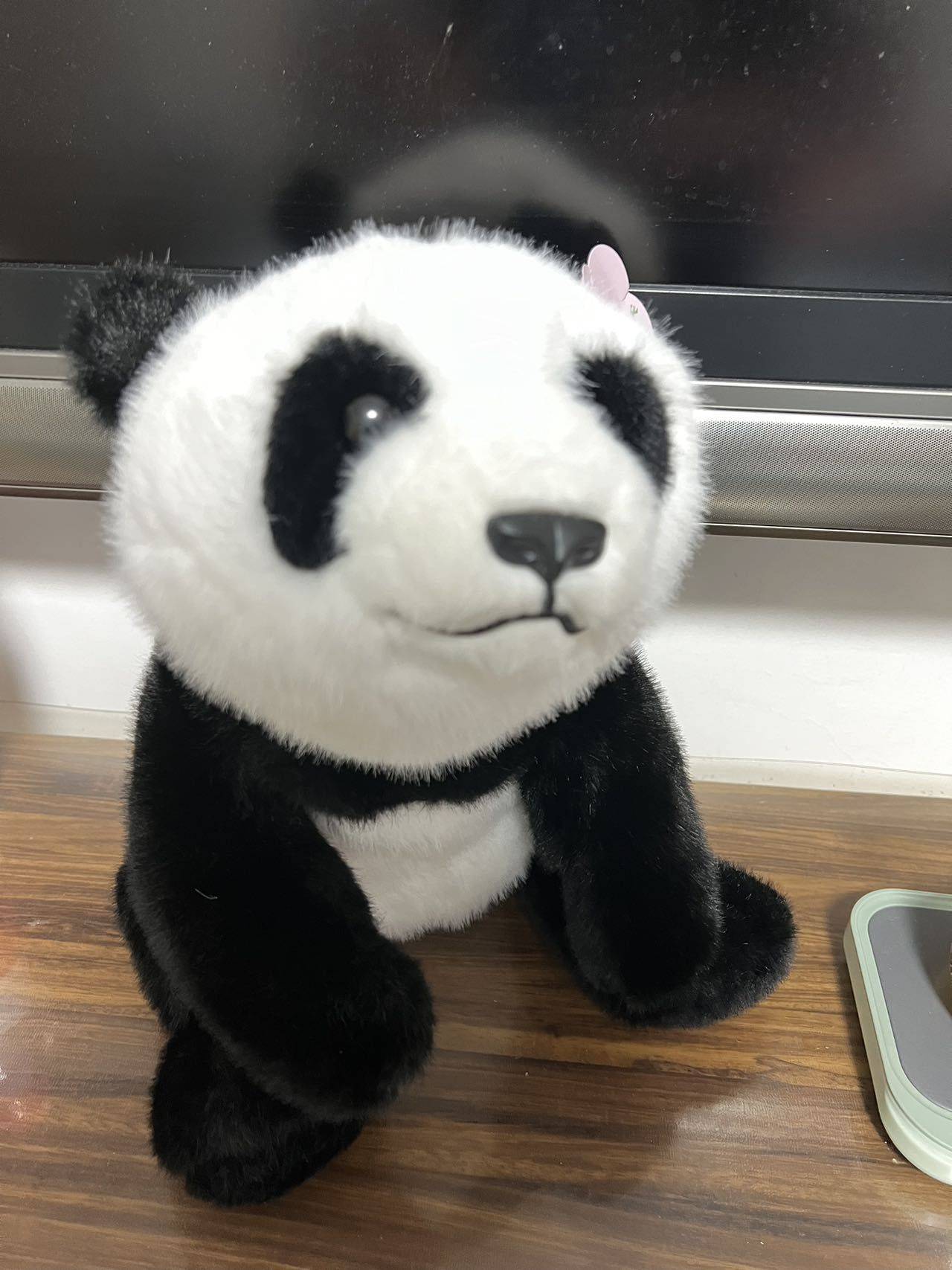mimi