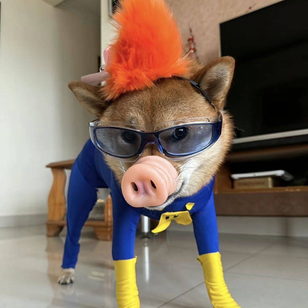 放轻松，就当漫游地球