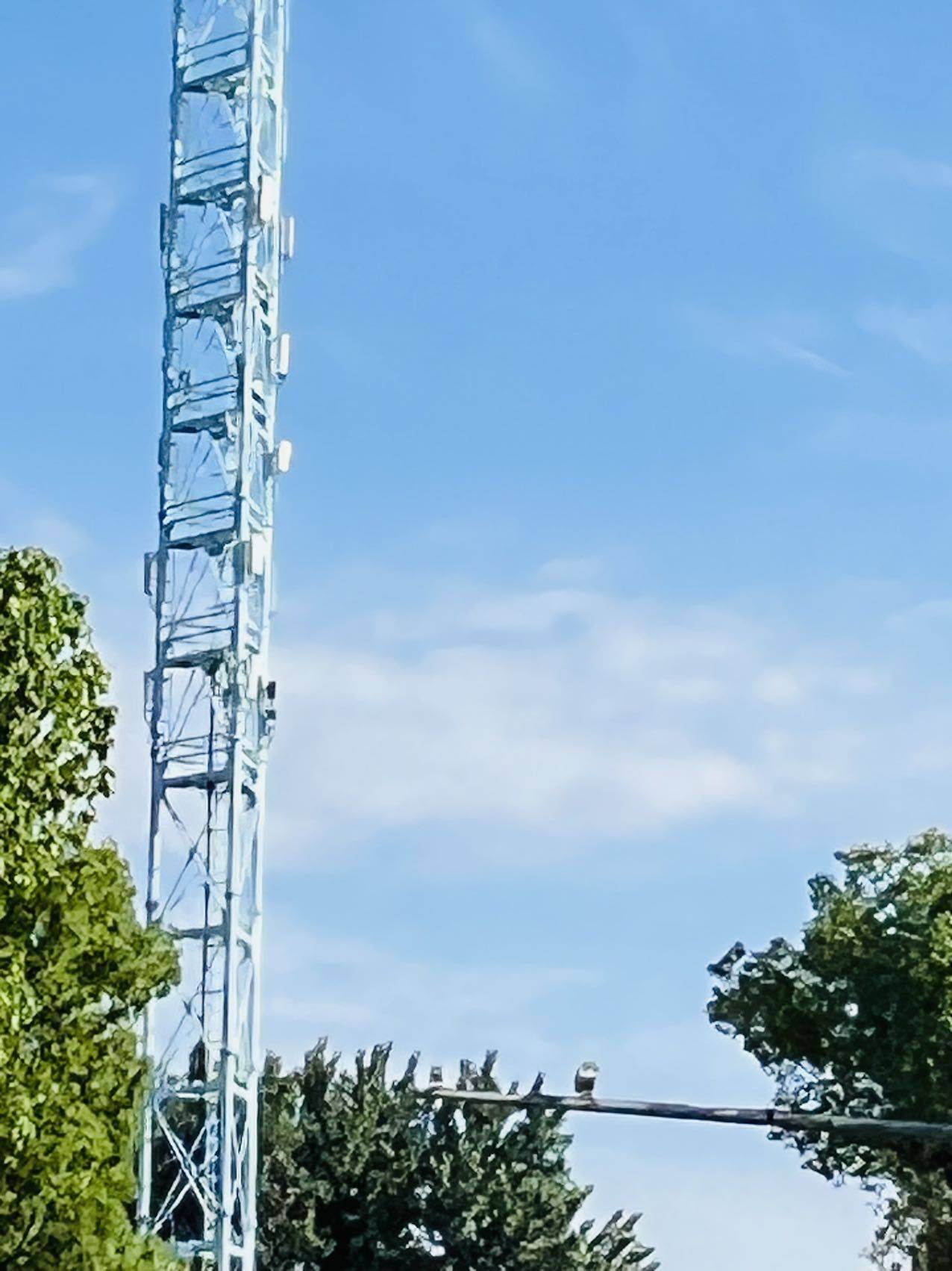 CC17