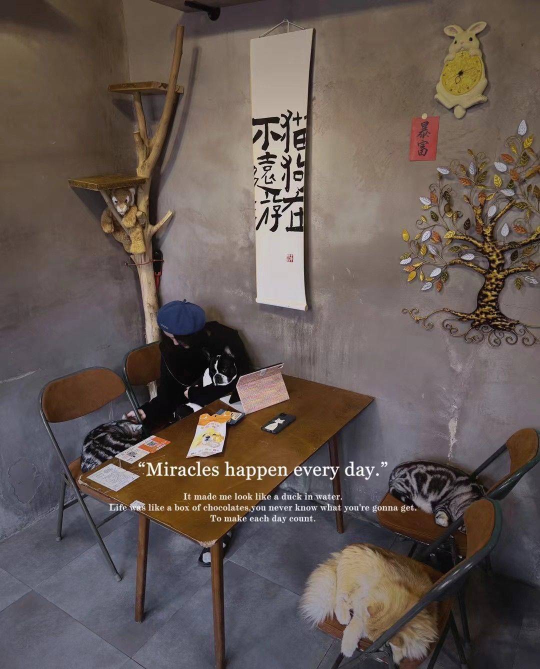 千寻·原创初来乍到，请多关照！