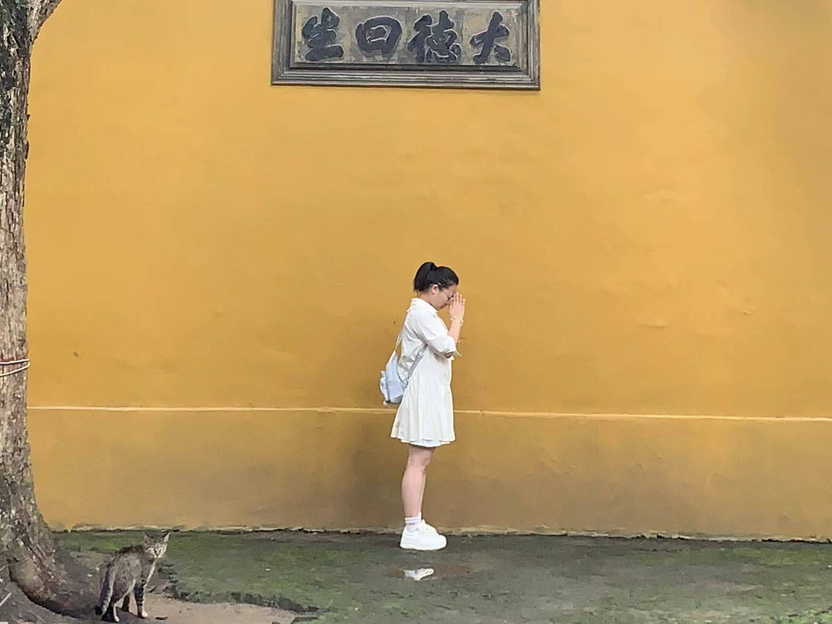 见面的方式有很多种