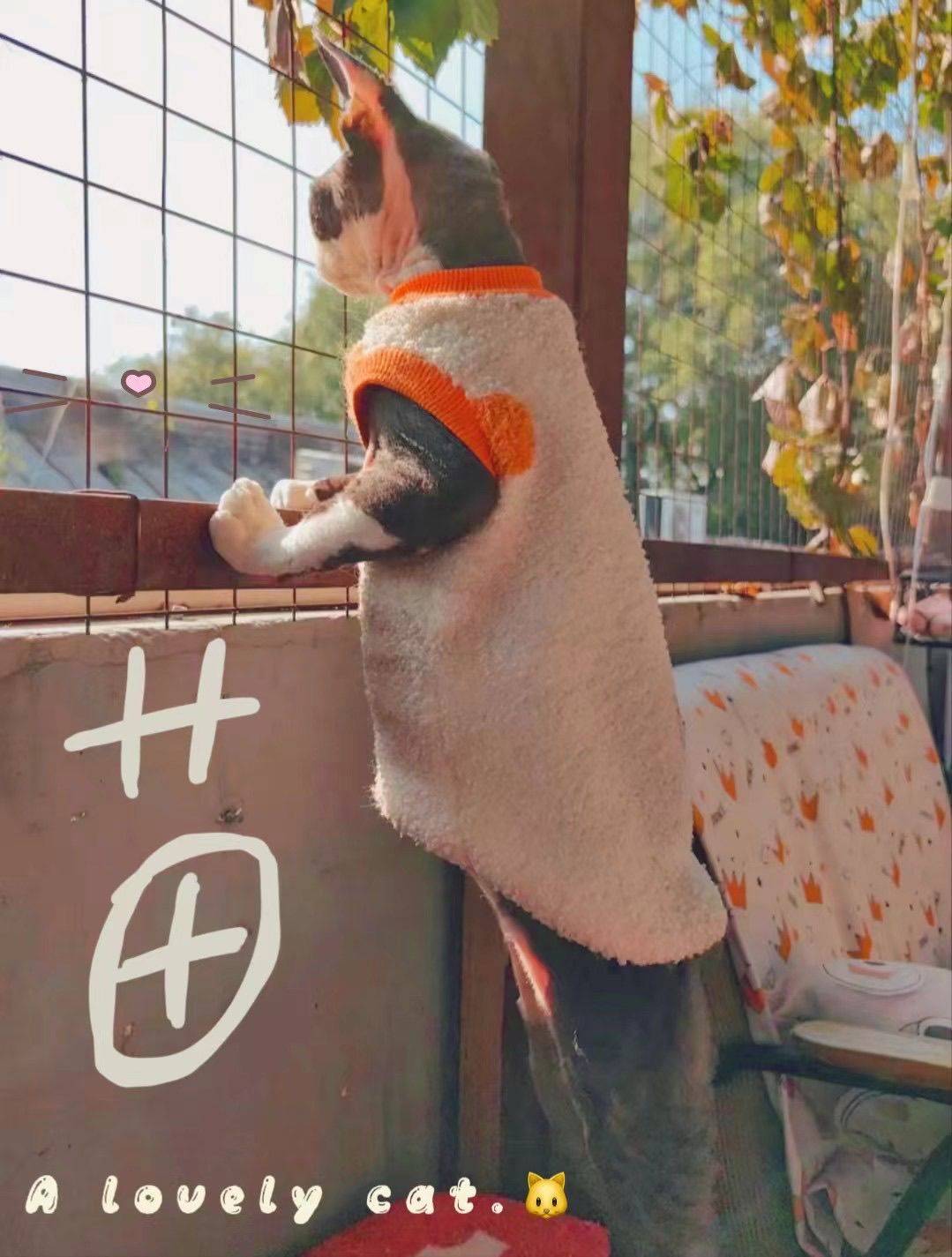 千寻·原创初来乍到，请多关照！_1