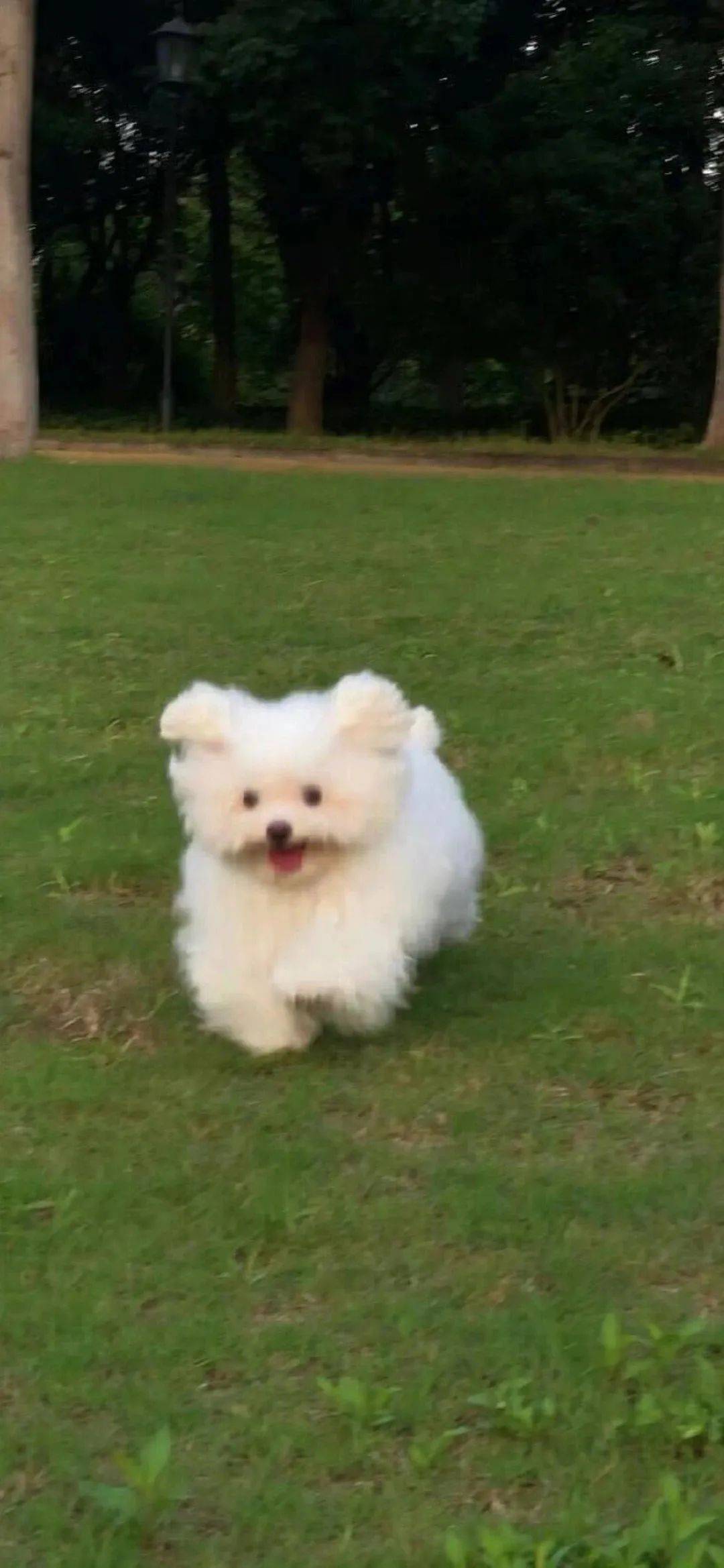 李
