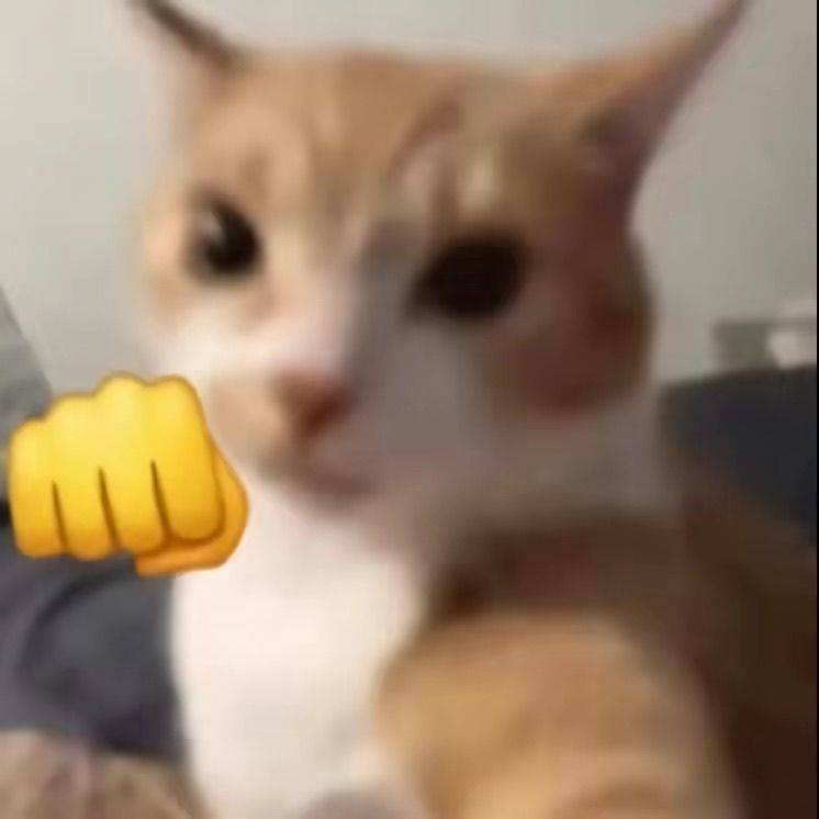 落叶