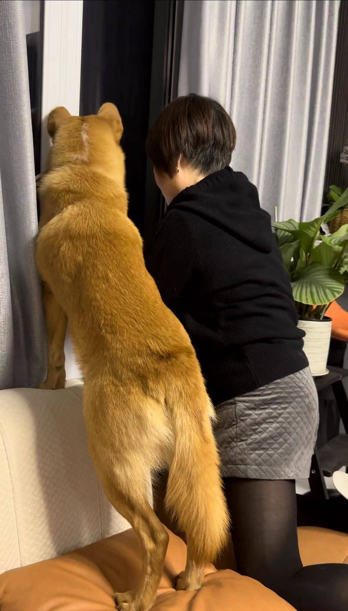 朦胧