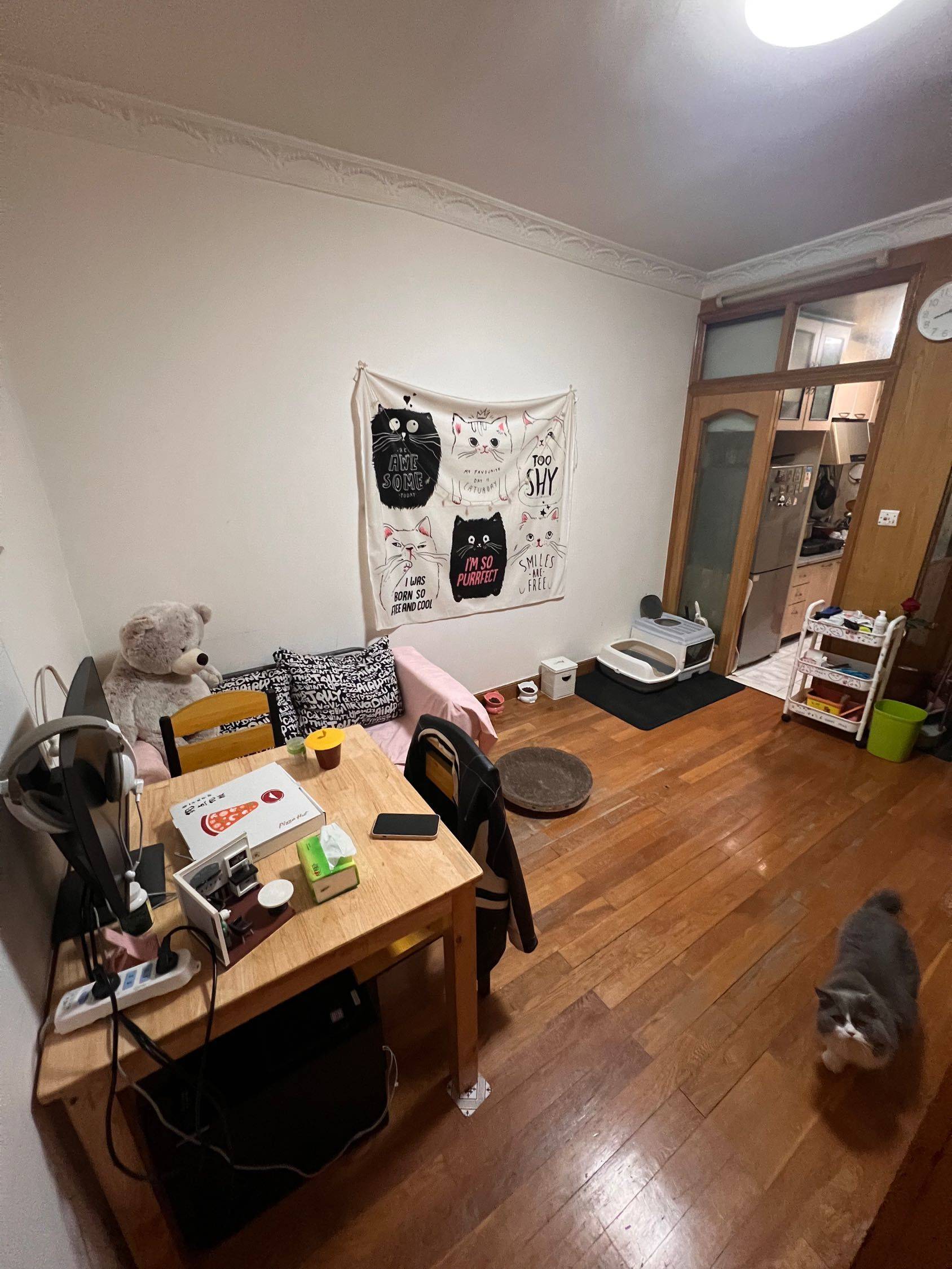 Shanghai-Pudong-Cozy Home,Clean&Comfy,Hustle & Bustle,LGBTQ Friendly
