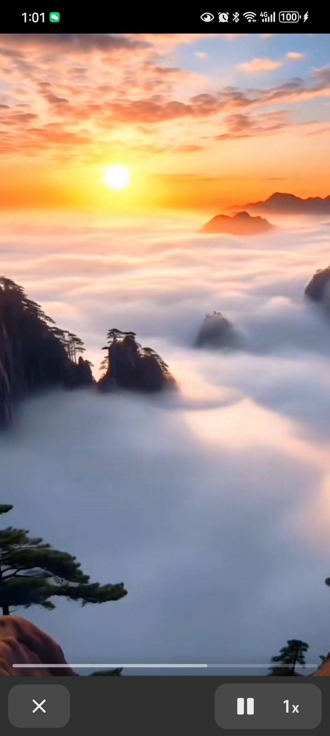 yunxue