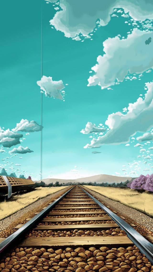徐阮佳