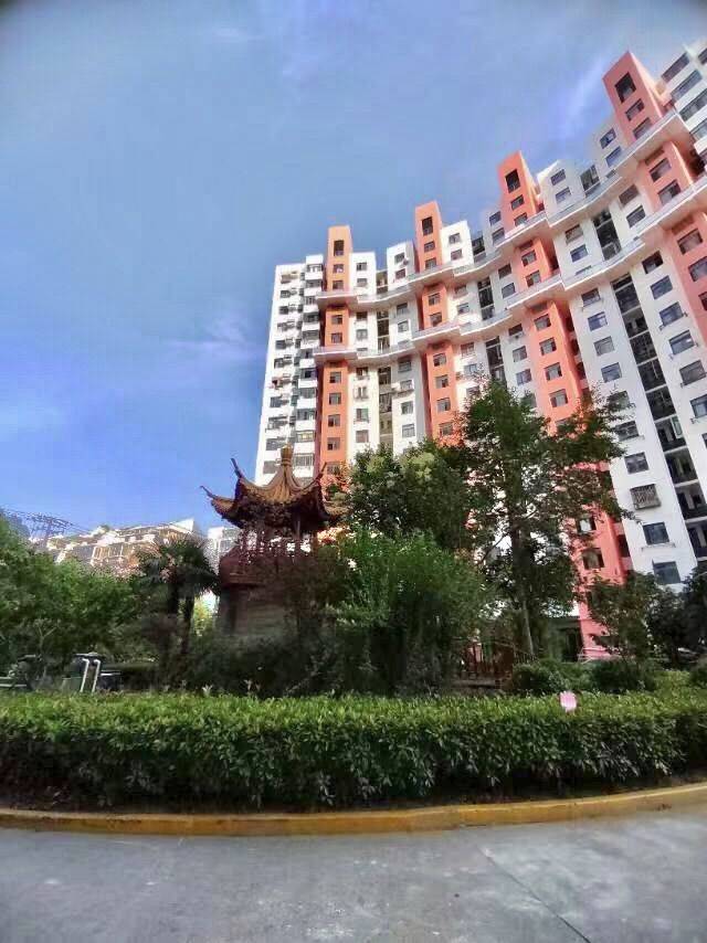 Shanghai-Jing‘An-Cozy Home,Clean&Comfy,Hustle & Bustle,Chilled