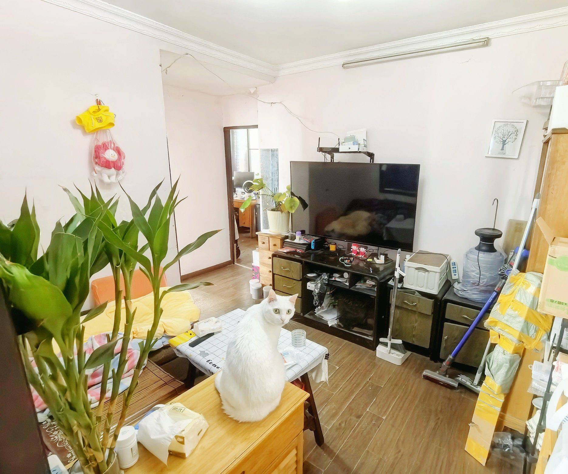 Shanghai-Putuo-Cozy Home,Clean&Comfy,No Gender Limit,Hustle & Bustle,“Friends”,Chilled