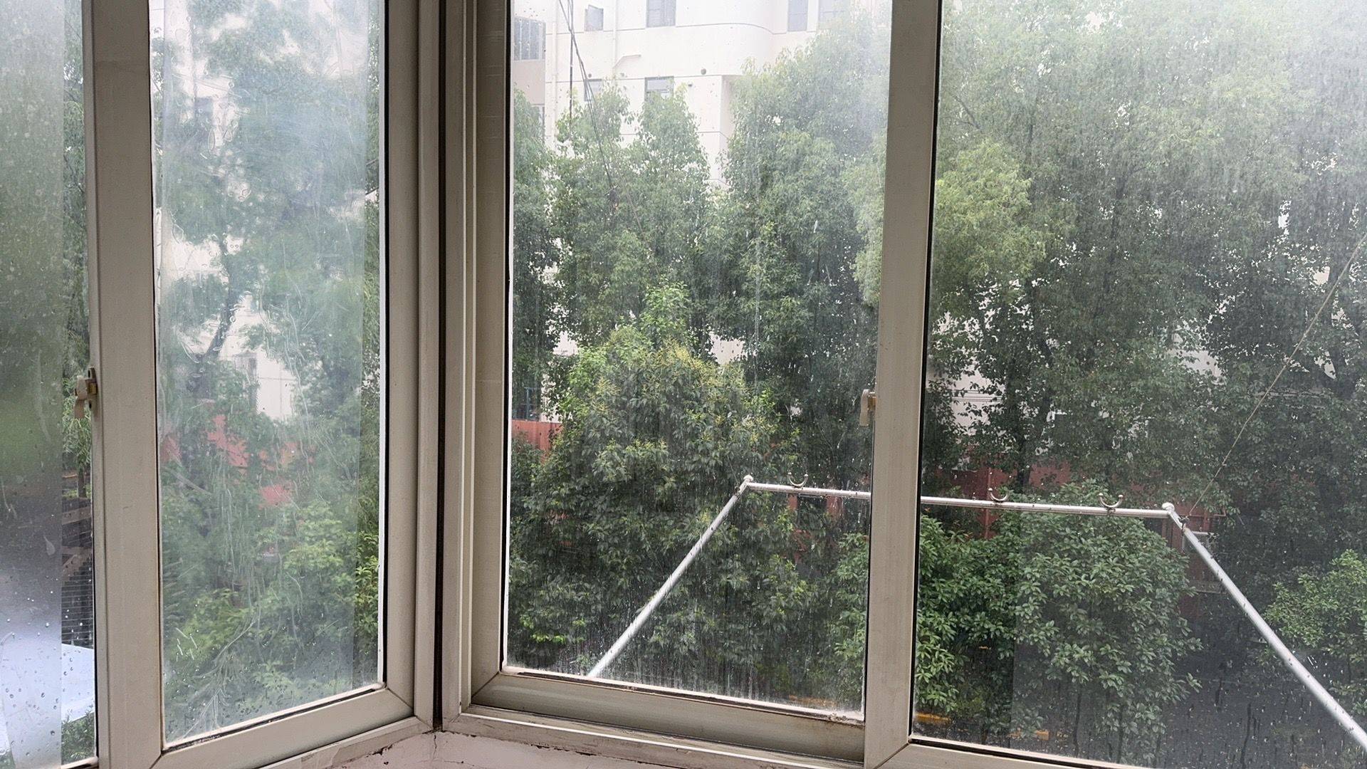 Shanghai-Xuhui-50RMB/Night,Cozy Home,Clean&Comfy,No Gender Limit,Hustle & Bustle,“Friends”,Chilled,LGBTQ Friendly,Pet Friendly
