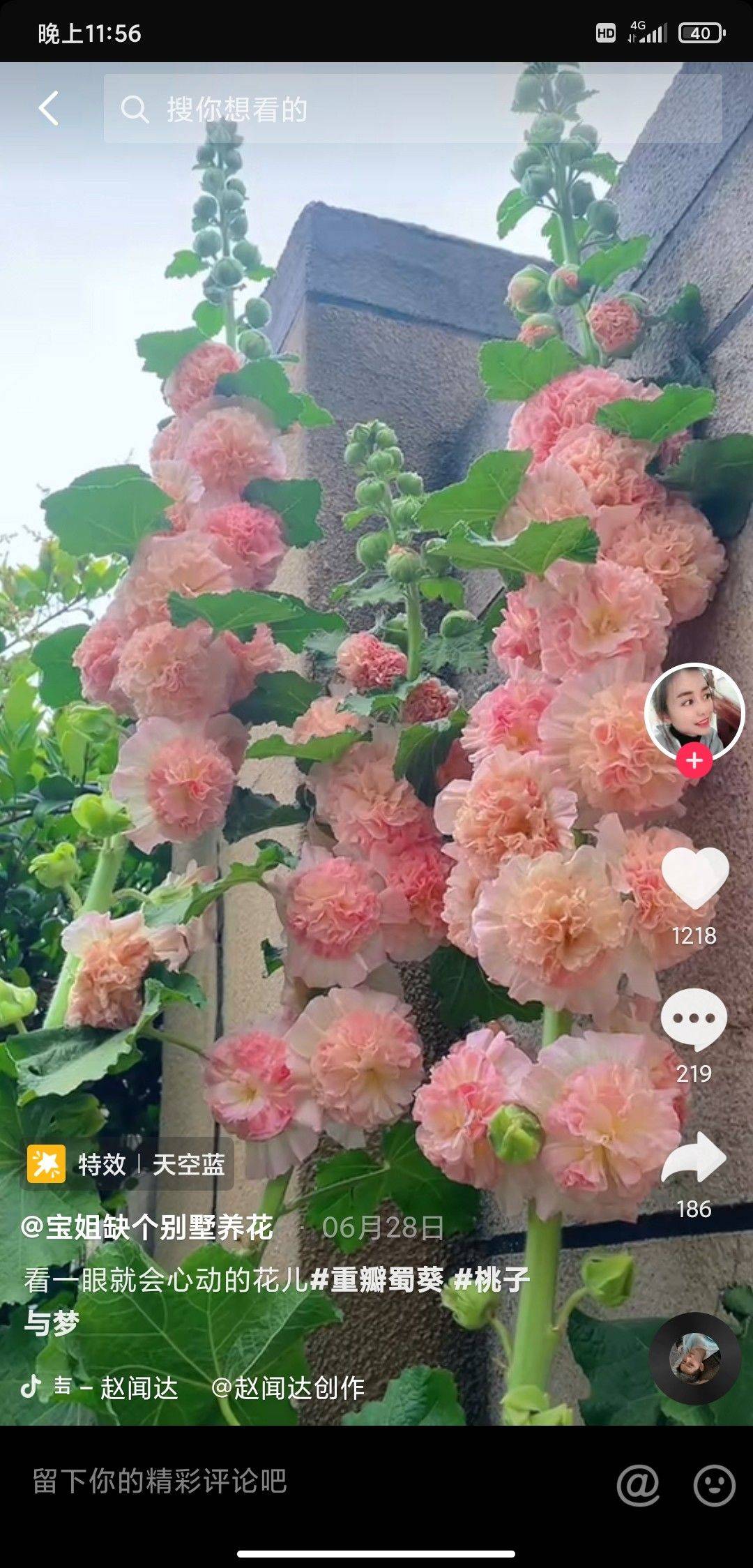 放轻松，就当漫游地球