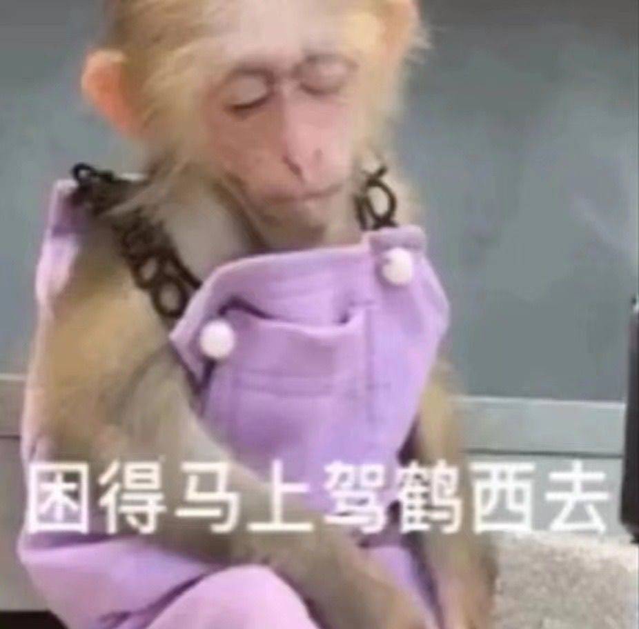 不义游戏