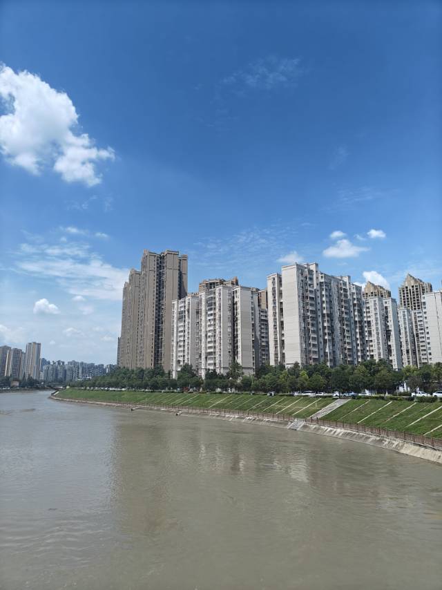 甜苦瓜