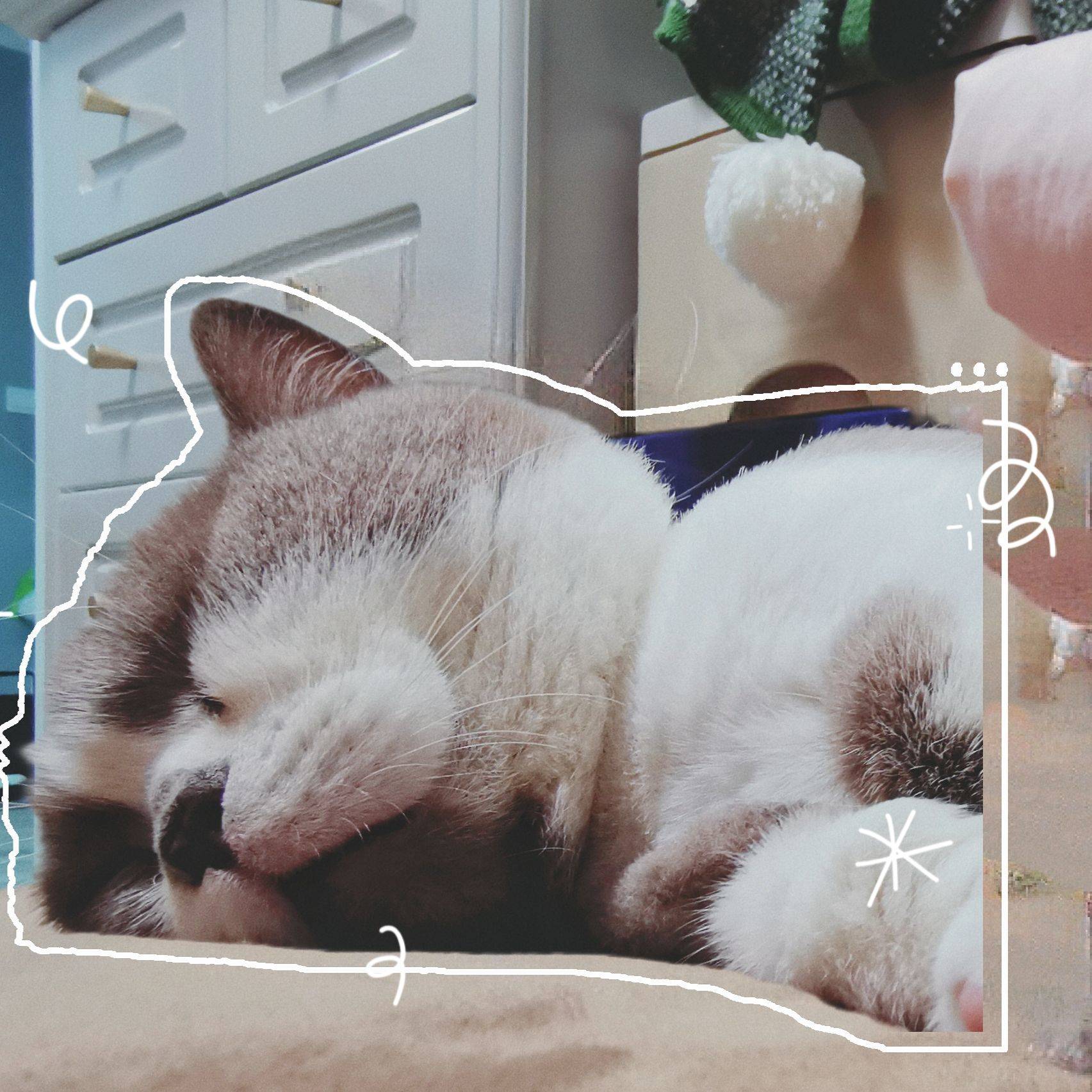 宋