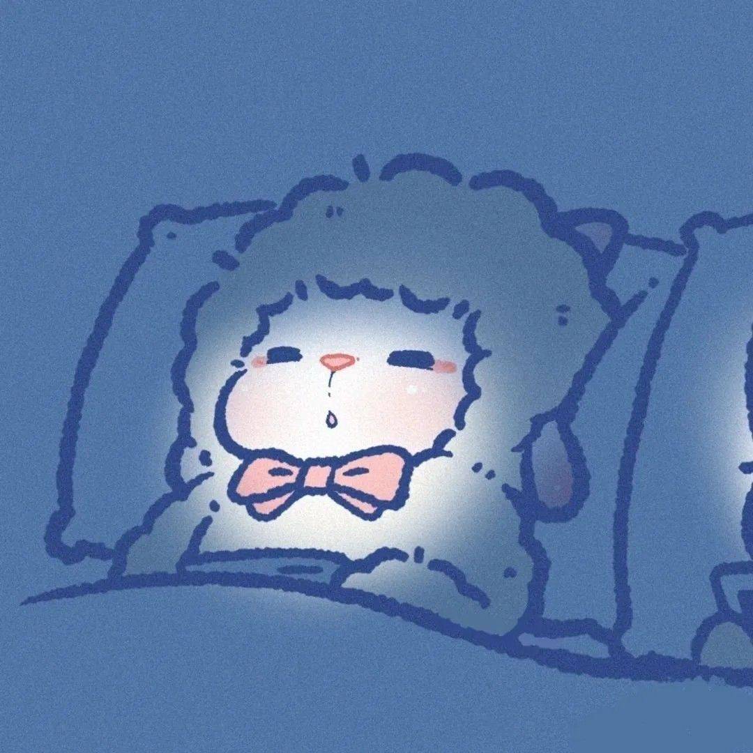 小刘爱睡觉