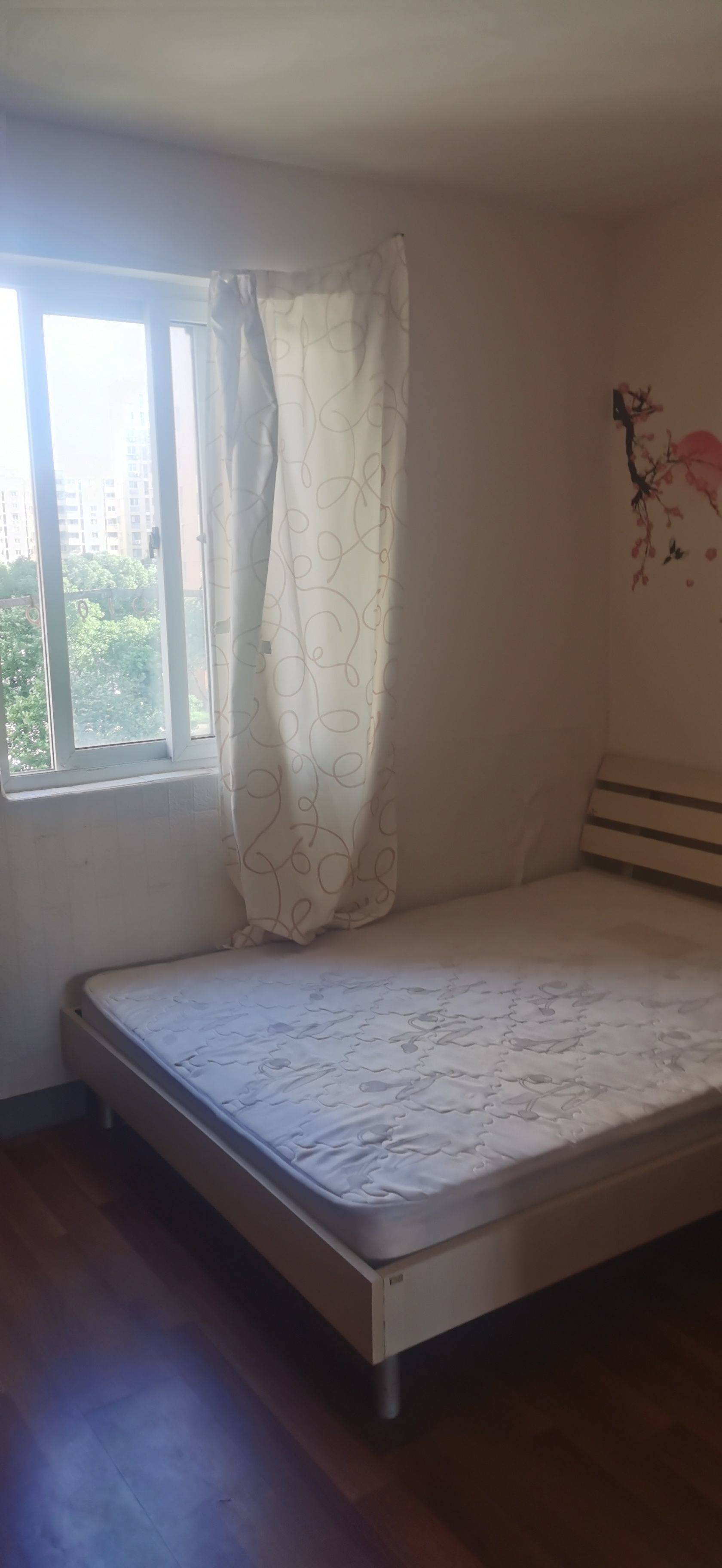 Shanghai-Pudong-Cozy Home,Clean&Comfy,No Gender Limit