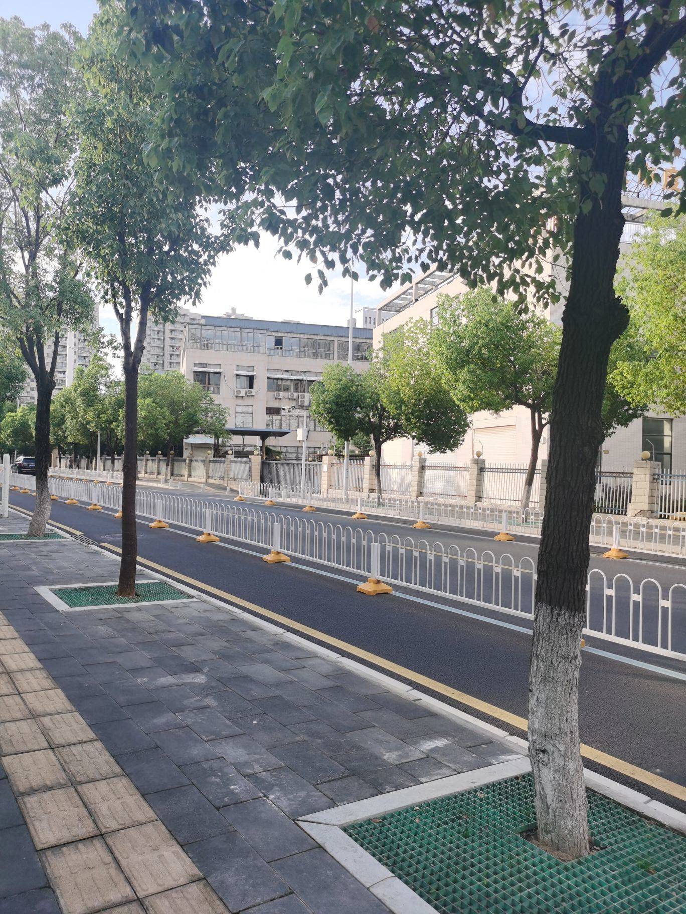 陈思