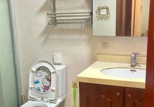 崇明 上海崇明绿地新都会