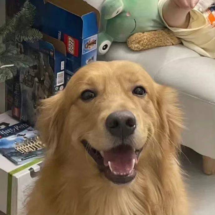 胡椒蛮馋