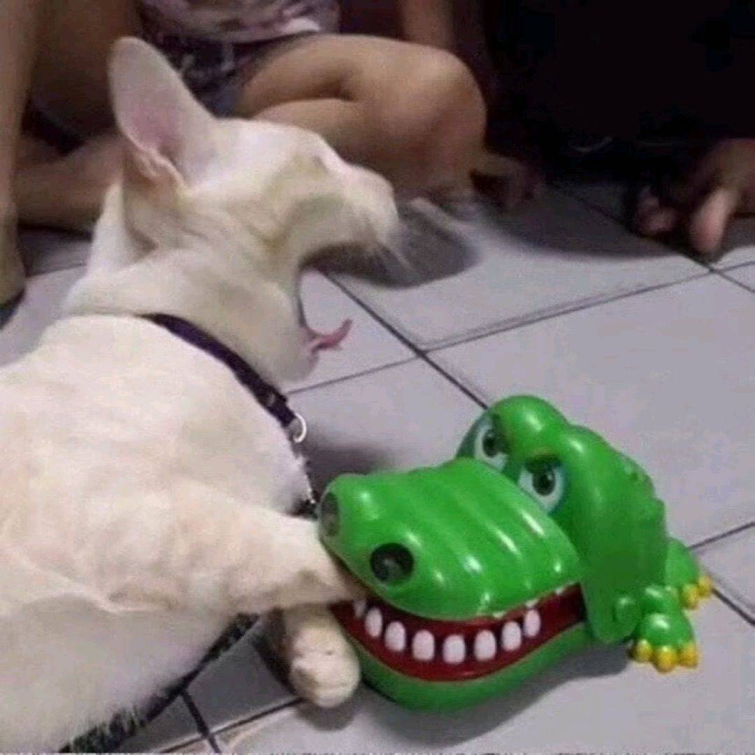 杰